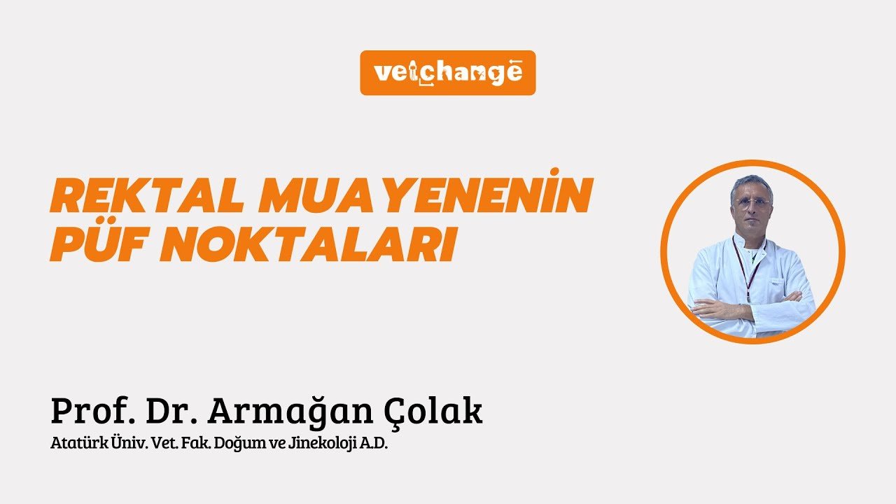 Rektal Muayenenin Püf Noktaları ''Prof. Dr. Armağan Çolak''
